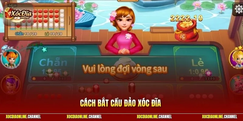 Cách Bắt Cầu Đảo Xóc Đĩa