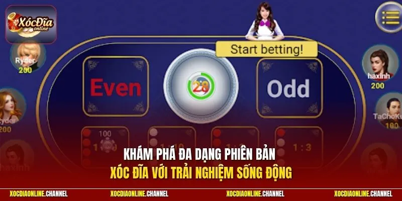 Khám phá đa dạng phiên bản xóc đĩa với trải nghiệm sống động 